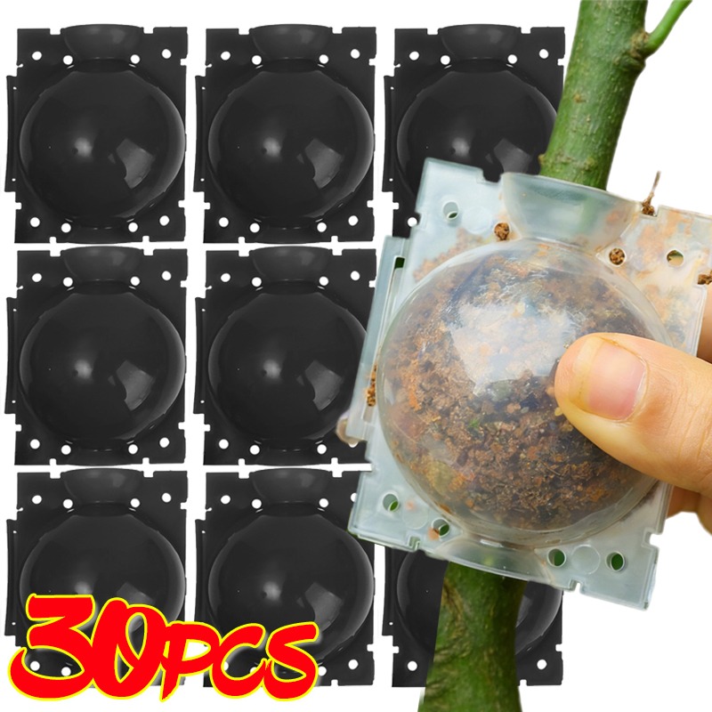 Gardening Tools Organiser - 재사용 가능한 식물 뿌리화상볼 접목 도구