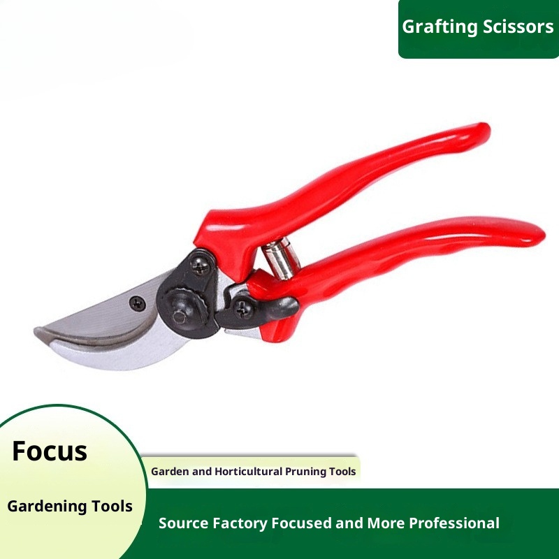 Gardening Tools Quality - 프리미엄 접목 전정 가위 수입산 고품질