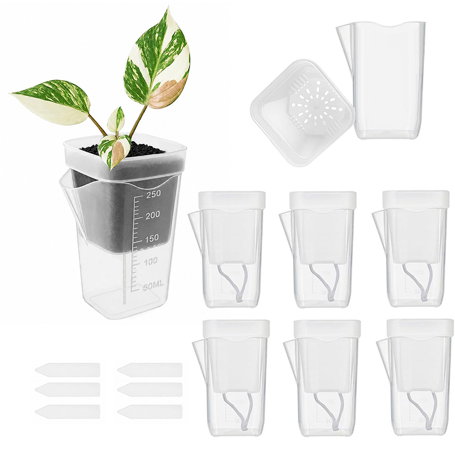 Gardening Tools Kit For Home Garden - 12/24PCS 자체 급수 다육 식물 냄비