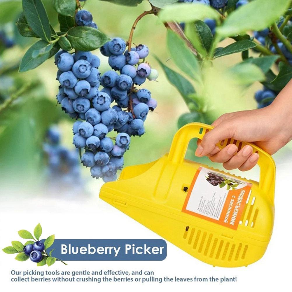 쉽게 잡을 수 있는 빗살형 블루베리 수확기, 휴대용 경 - Gardening Tools You Must Have 리뷰 및 가격