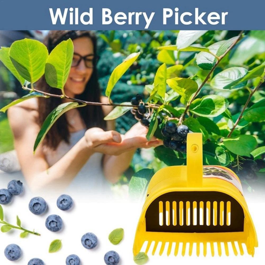 쉽게 잡을 수 있는 빗살형 블루베리 수확기, 휴대용 경 - Gardening Tools You Must Have 리뷰 및 가격