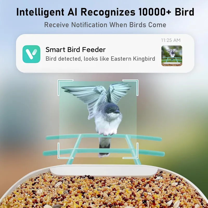AI 인식 기능을 갖춘 스마트 새 먹이 공급기 카메라, - Gardening Tools Video 리뷰 및 가격