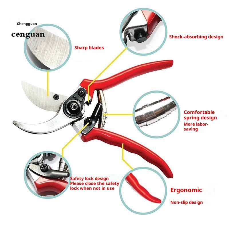 프리미엄 접목 전정 가위 수입산 고품질 정원 분재 가위 - Gardening Tools Quality 리뷰 및 가격