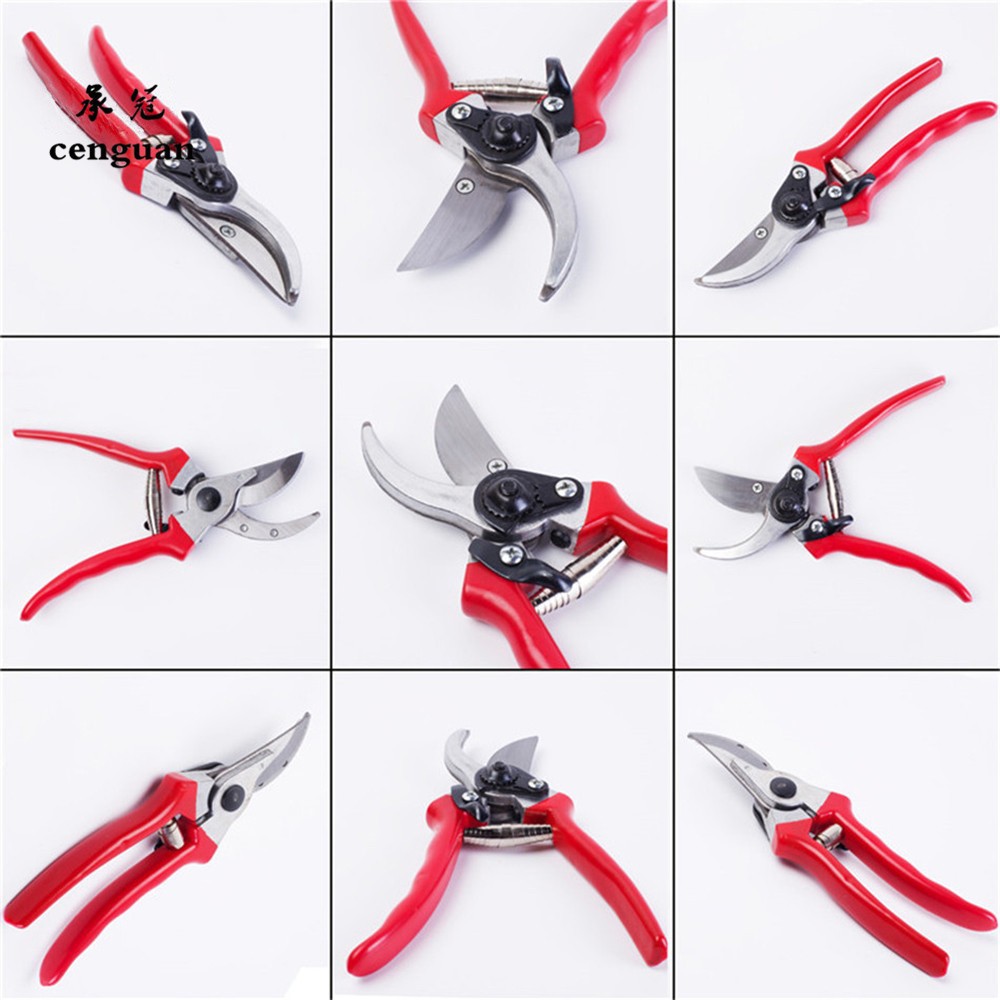 프리미엄 접목 전정 가위 수입산 고품질 정원 분재 가위 - Gardening Tools Quality 리뷰 및 가격