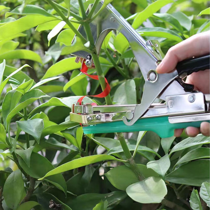 정원 식물 가지 손으로 묶는 기계, 채소 태퍼 테이프, - Gardening Tools Kit For Home Garden 리뷰 및 가격