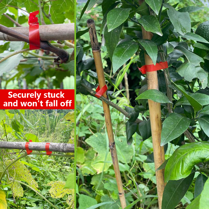 정원 식물 가지 손으로 묶는 기계, 채소 태퍼 테이프, - Gardening Tools Kit For Home Garden 리뷰 및 가격