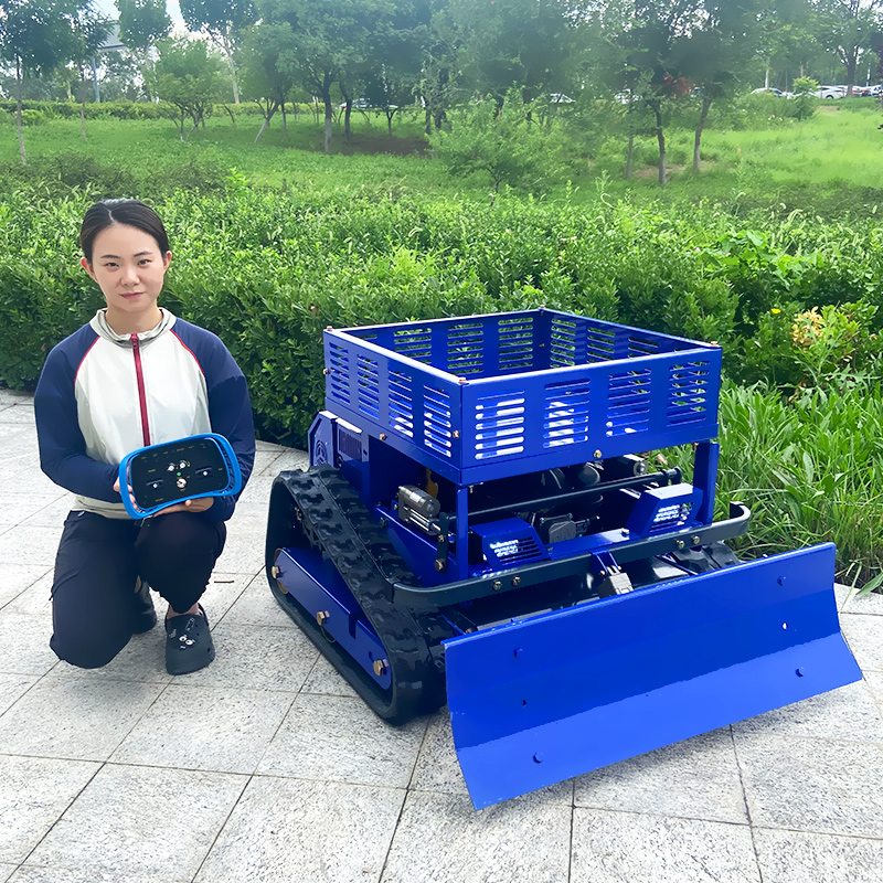 맞춤형 원격 제어 잔디 깎는 기계 (눈삽 포함) – 보 - Gardening Tools Storage 리뷰 및 가격