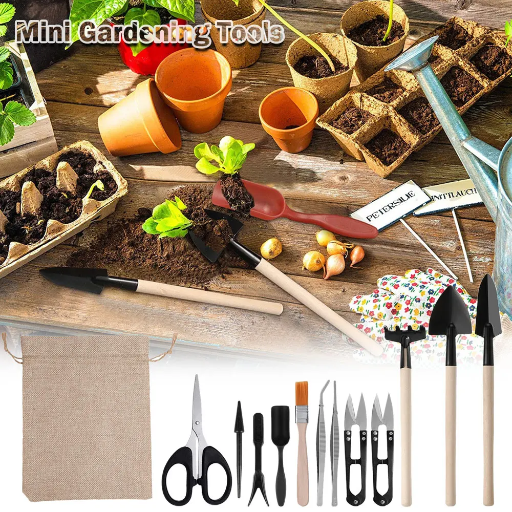 다육 식물 도구 세트, 실내 식물 가정 정원 키트, 검 - Gardening Tools Kit For Home Garden 리뷰 및 가격