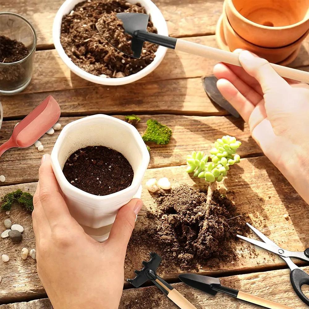다육 식물 도구 세트, 실내 식물 가정 정원 키트, 검 - Gardening Tools Kit For Home Garden 리뷰 및 가격