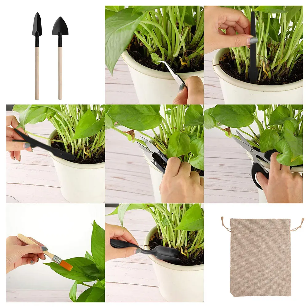 다육 식물 도구 세트, 실내 식물 가정 정원 키트, 검 - Gardening Tools Kit For Home Garden 리뷰 및 가격