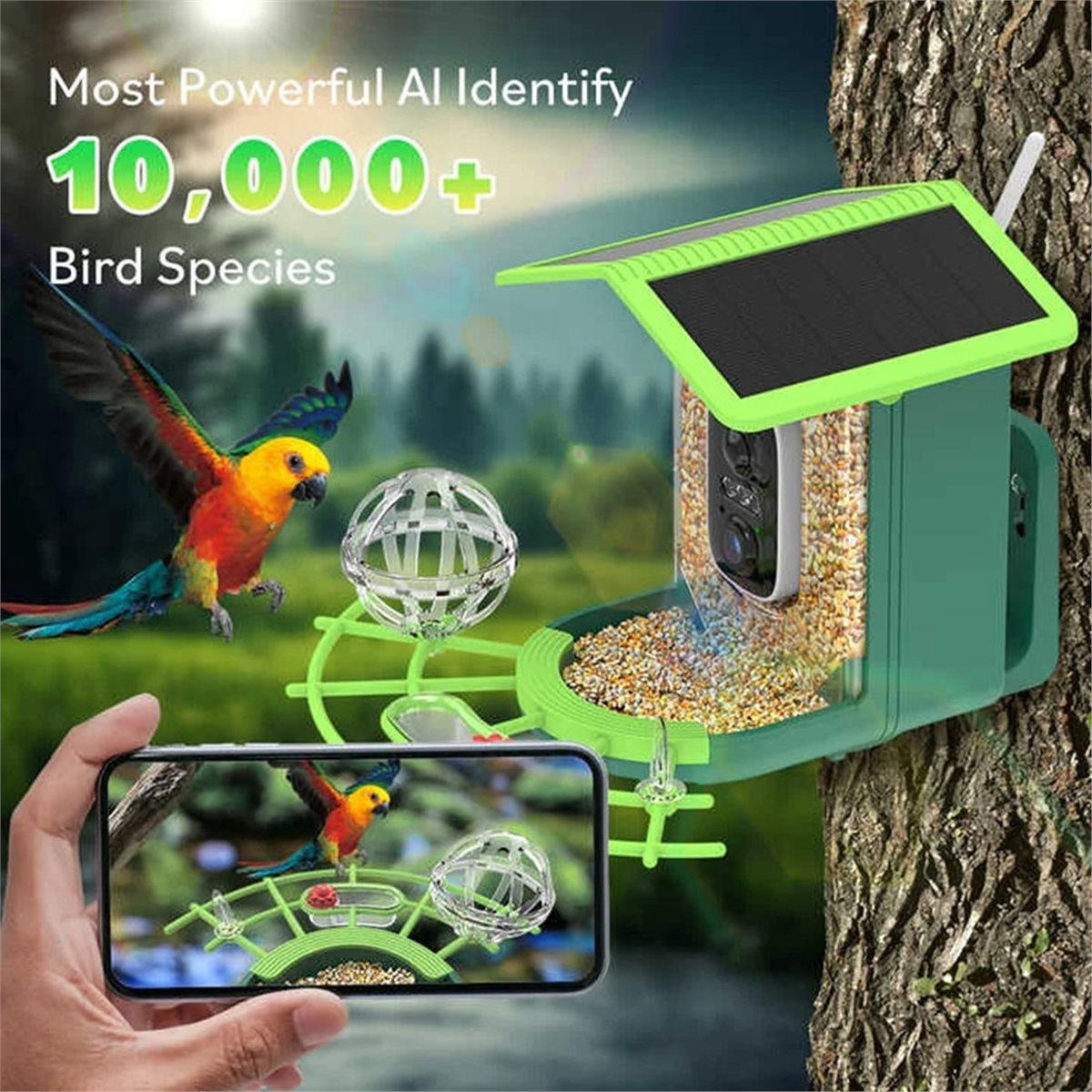 AI 종 식별 기능이 있는 ABPP 스마트 새 모이통  - Gardening Tools Video 리뷰 및 가격