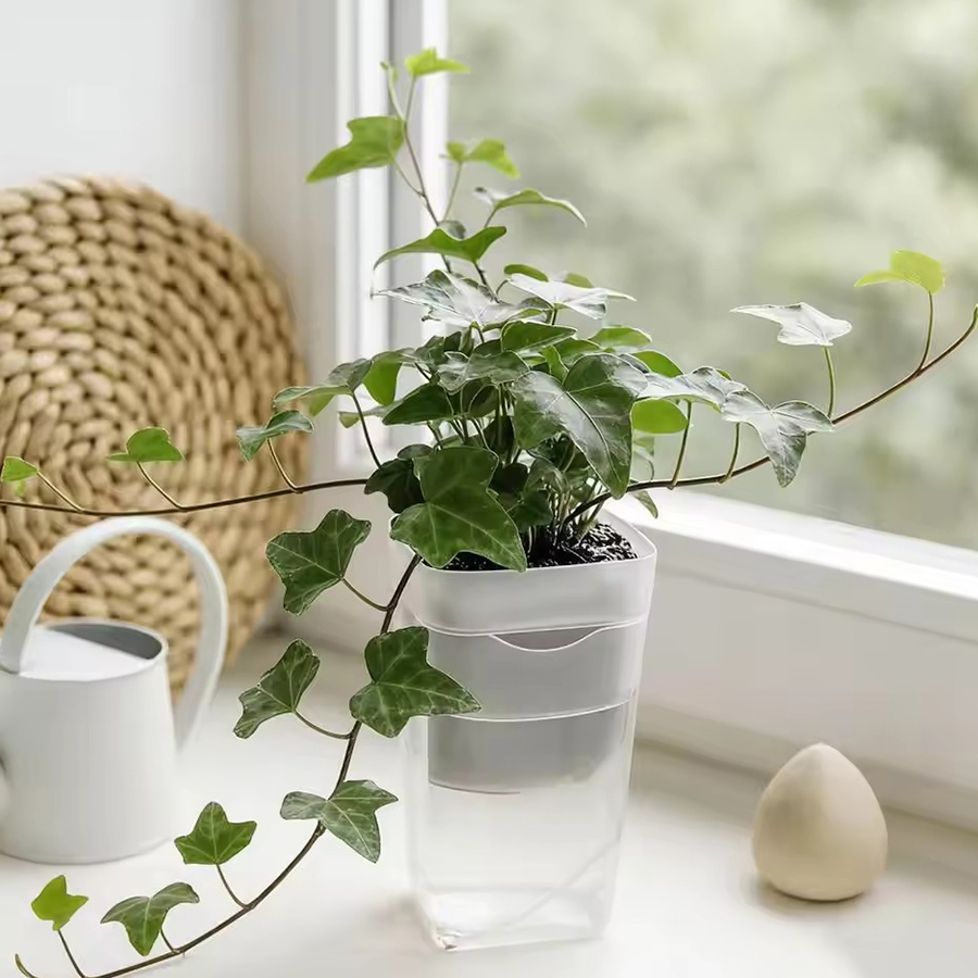 12/24PCS 자체 급수 다육 식물 냄비 원예 도구  - Gardening Tools Kit For Home Garden 리뷰 및 가격