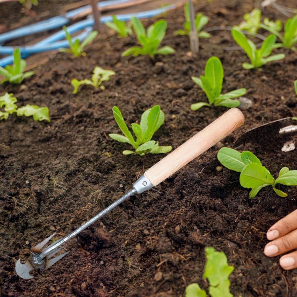 정원 제초 도구 원예 농업 도구 제초 도구 경작용 괭이 - Gardening Tools For Digging 리뷰 및 가격